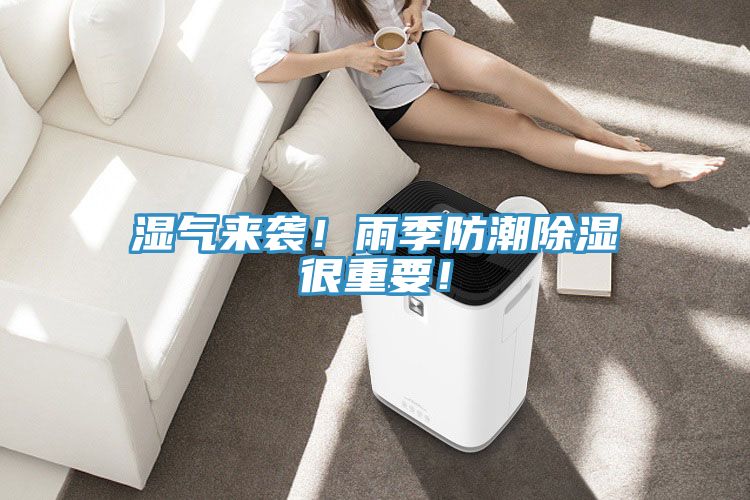 湿气来袭！雨季防潮除湿很重要！