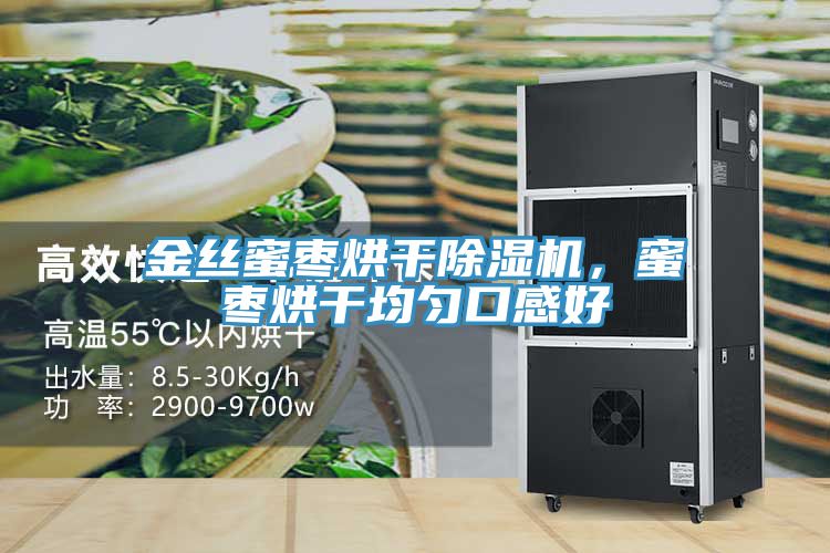 金丝蜜枣烘干91香蕉视频下载网站，蜜枣烘干均匀口感好