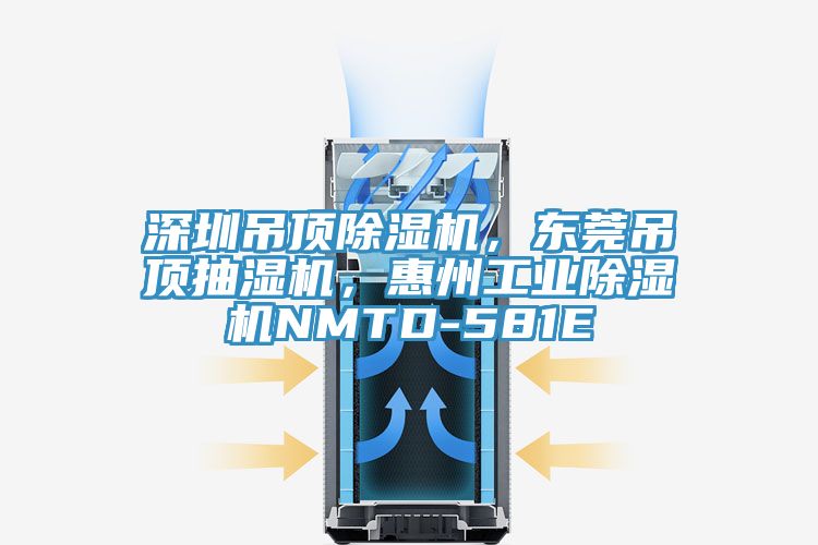 深圳吊顶91香蕉视频下载网站，东莞吊顶抽湿机，惠州工业91香蕉视频下载网站NMTD-581E