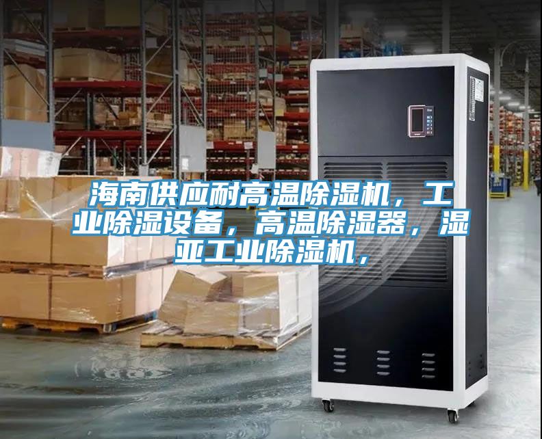 海南供应耐高温91香蕉视频下载网站，工业除湿设备，高温除湿器，湿亚工业91香蕉视频下载网站，