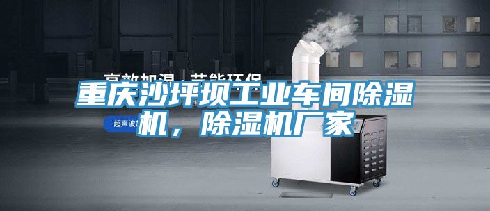 重庆沙坪坝工业车间91香蕉视频下载网站，91香蕉视频下载网站厂家