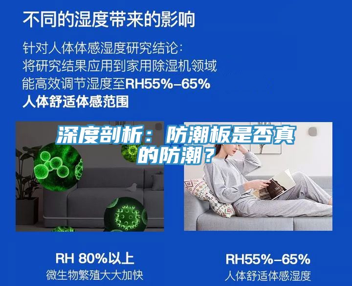 深度剖析：防潮板是否真的防潮？