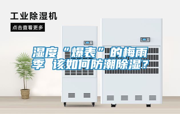 湿度“爆表”的梅雨季 该如何防潮除湿？