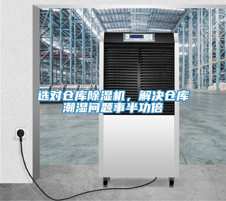 选对仓库91香蕉视频下载网站，解决仓库潮湿问题事半功倍