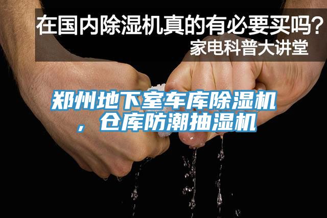 郑州地下室车库91香蕉视频下载网站，仓库防潮抽湿机