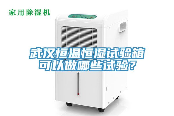 武汉恒温恒湿试验箱可以做哪些试验？