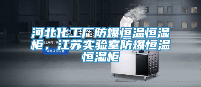 河北化工厂防爆恒温恒湿柜，江苏实验室防爆恒温恒湿柜