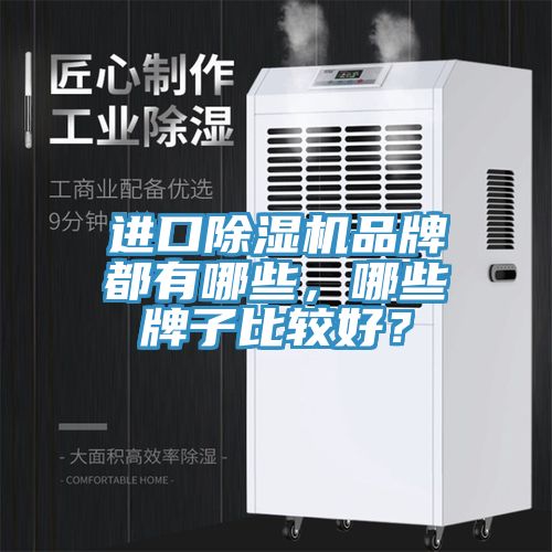 进口91香蕉视频下载网站品牌都有哪些，哪些牌子比较好？