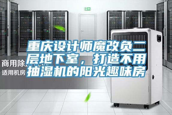 重庆设计师魔改负二层地下室，打造不用抽湿机的阳光趣味房