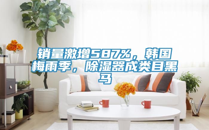 销量激增587%，韩国梅雨季，除湿器成类目黑马