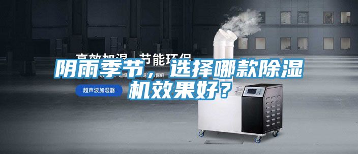 阴雨季节，选择哪款91香蕉视频下载网站效果好？
