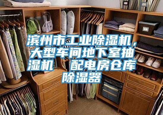滨州市工业91香蕉视频下载网站，大型车间地下室抽湿机  配电房仓库除湿器