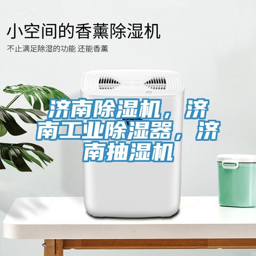 济南91香蕉视频下载网站，济南工业除湿器，济南抽湿机