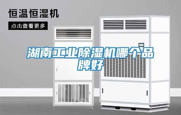 湖南工业91香蕉视频下载网站哪个品牌好