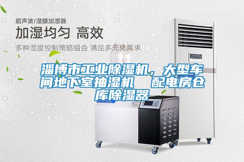 淄博市工业91香蕉视频下载网站，大型车间地下室抽湿机  配电房仓库除湿器