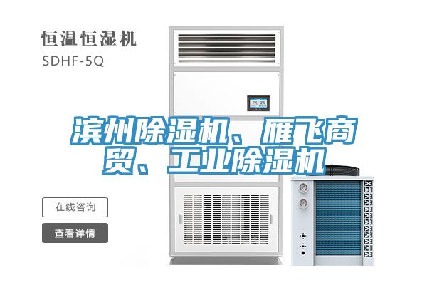 滨州91香蕉视频下载网站、雁飞商贸、工业91香蕉视频下载网站