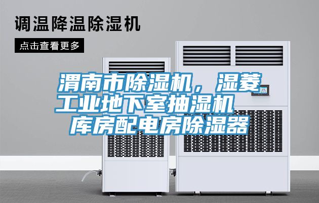 渭南市91香蕉视频下载网站，湿菱工业地下室抽湿机  库房配电房除湿器
