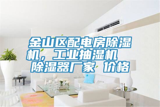金山区配电房91香蕉视频下载网站，工业抽湿机  除湿器厂家 价格