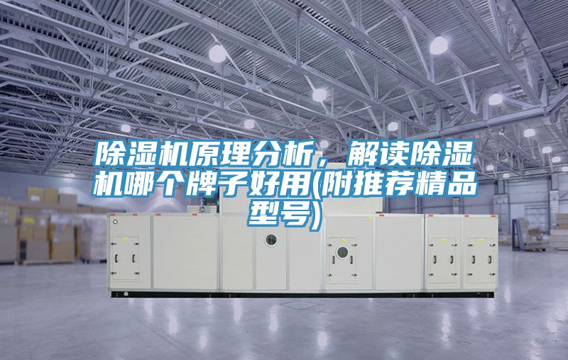 91香蕉视频下载网站原理分析，解读91香蕉视频下载网站哪个牌子好用(附推荐精品型号)
