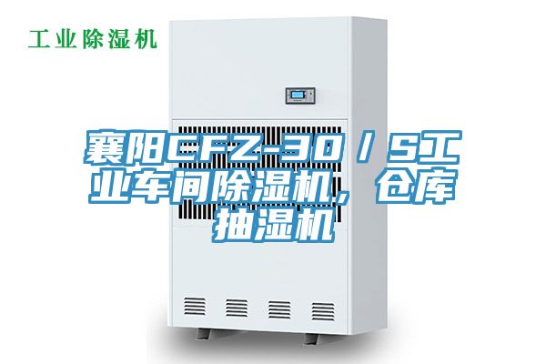 襄阳CFZ-30／S工业车间91香蕉视频下载网站，仓库抽湿机