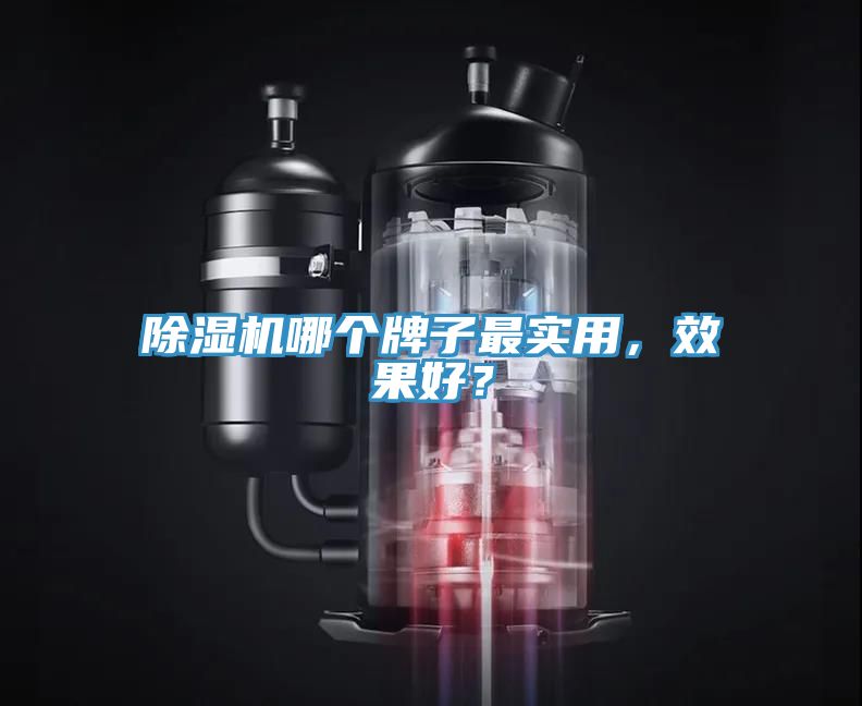 91香蕉视频下载网站哪个牌子最实用，效果好？