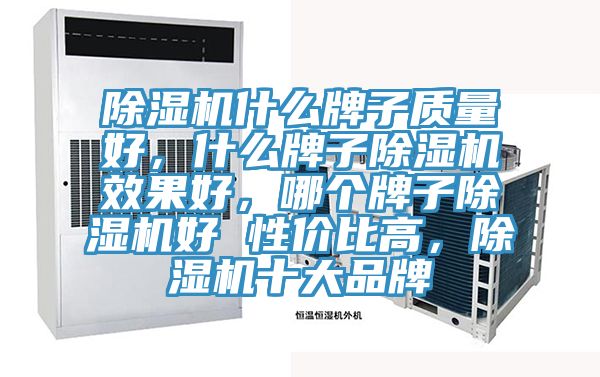 91香蕉视频下载网站什么牌子质量好，什么牌子91香蕉视频下载网站效果好，哪个牌子91香蕉视频下载网站好 性价比高，91香蕉视频下载网站十大品牌