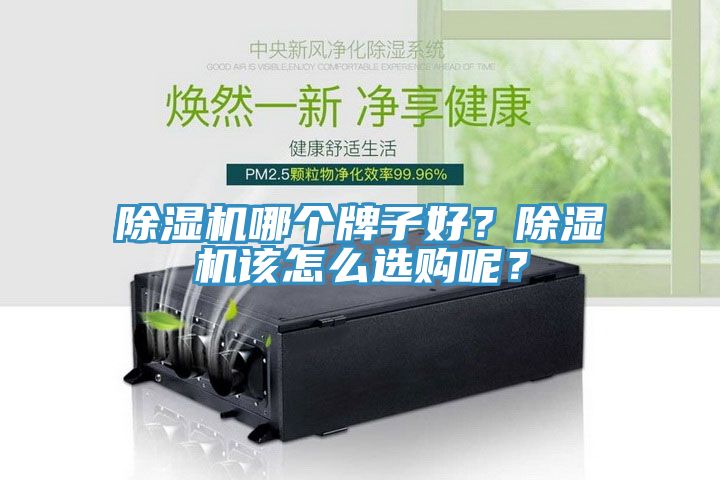 91香蕉视频下载网站哪个牌子好？91香蕉视频下载网站该怎么选购呢？
