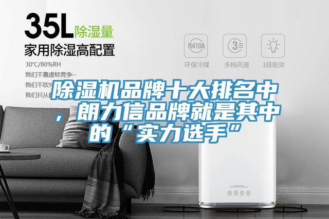 91香蕉视频下载网站品牌十大排名中，朗力信品牌就是其中的“实力选手”