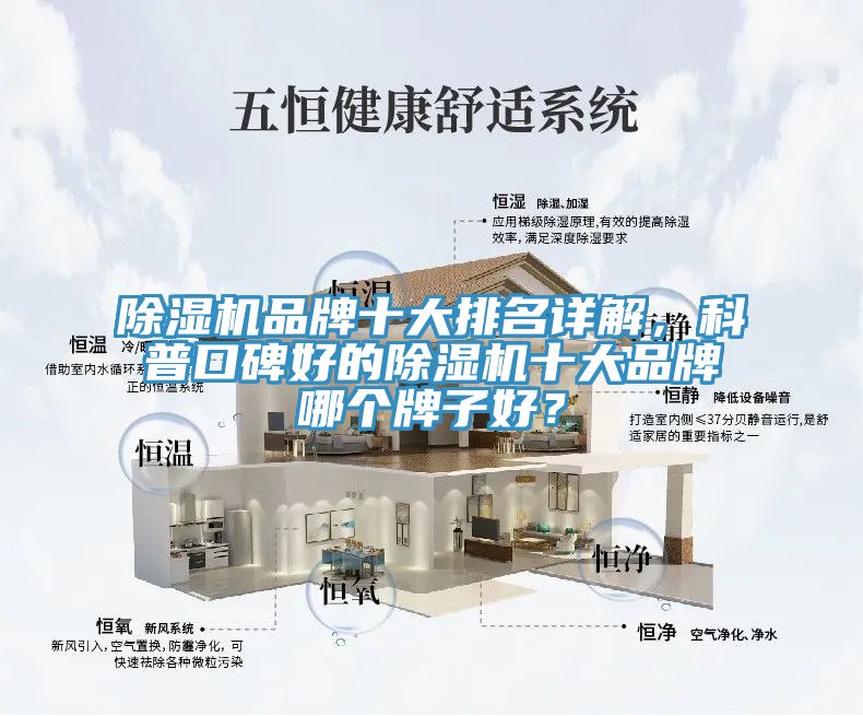 91香蕉视频下载网站品牌十大排名详解，科普口碑好的91香蕉视频下载网站十大品牌哪个牌子好？