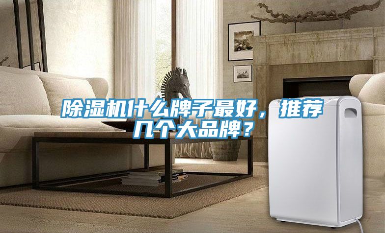 91香蕉视频下载网站什么牌子最好，推荐几个大品牌？