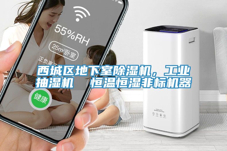 西城区地下室91香蕉视频下载网站，工业抽湿机  恒温恒湿非标机器