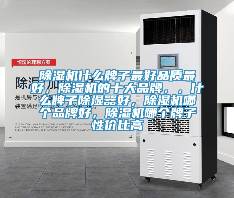 91香蕉视频下载网站什么牌子最好品质最好，91香蕉视频下载网站的十大品牌，，什么牌子除湿器好，91香蕉视频下载网站哪个品牌好，91香蕉视频下载网站哪个牌子性价比高
