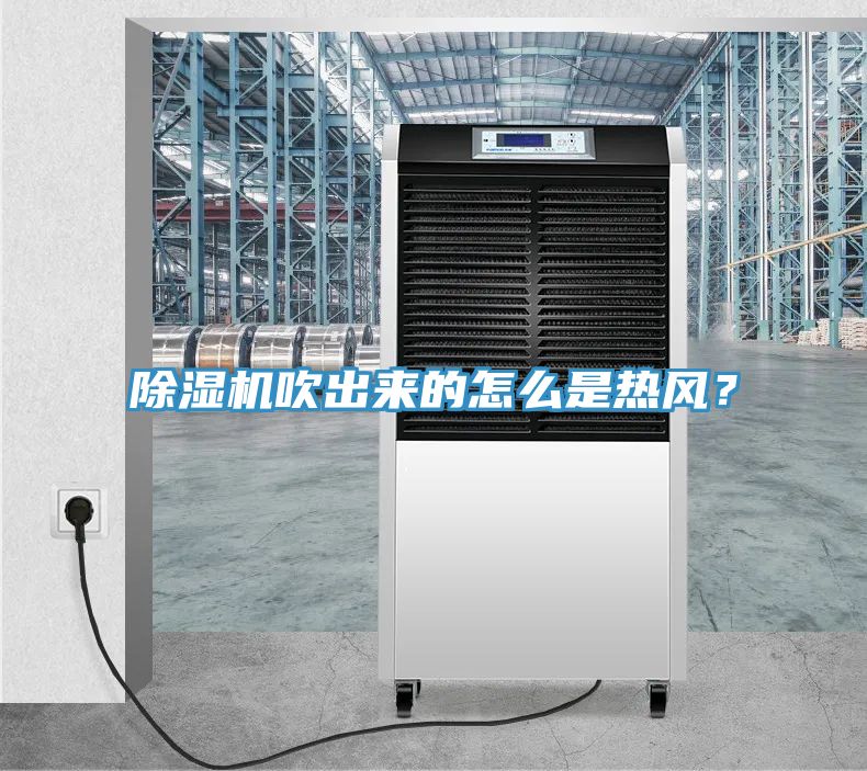 91香蕉视频下载网站吹出来的怎么是热风？