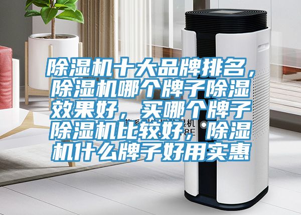 91香蕉视频下载网站十大品牌排名，91香蕉视频下载网站哪个牌子除湿效果好，买哪个牌子91香蕉视频下载网站比较好，91香蕉视频下载网站什么牌子好用实惠