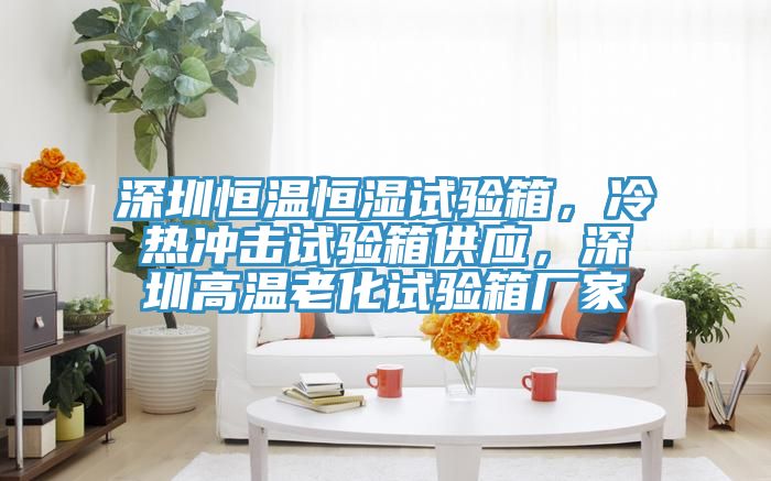 深圳恒温恒湿试验箱，冷热冲击试验箱供应，深圳高温老化试验箱厂家