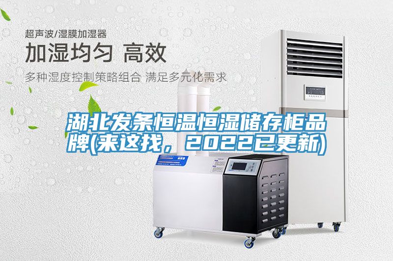 湖北发条恒温恒湿储存柜品牌(来这找，2022已更新)