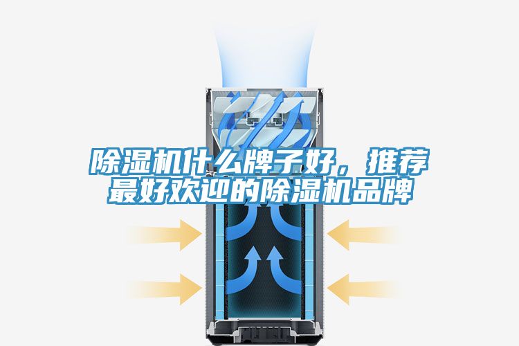 91香蕉视频下载网站什么牌子好，推荐最好欢迎的91香蕉视频下载网站品牌