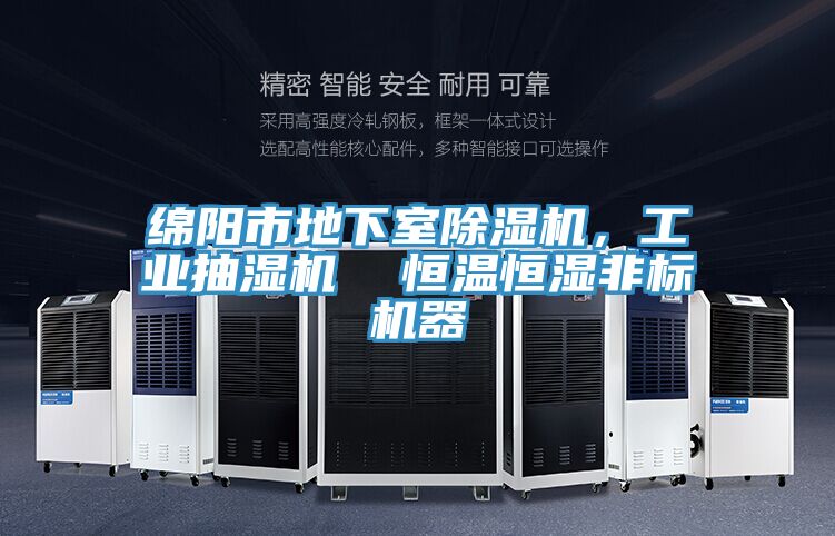 绵阳市地下室91香蕉视频下载网站，工业抽湿机  恒温恒湿非标机器