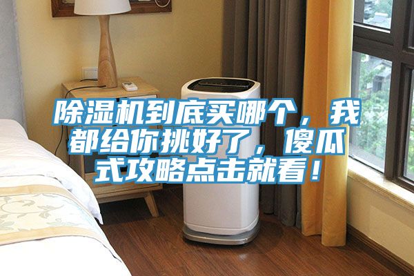 91香蕉视频下载网站到底买哪个，我都给你挑好了，傻瓜式攻略点击就看！
