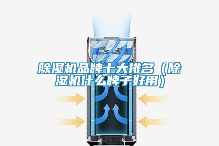 91香蕉视频下载网站品牌十大排名（91香蕉视频下载网站什么牌子好用）