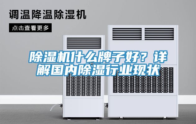 91香蕉视频下载网站什么牌子好？详解国内除湿行业现状