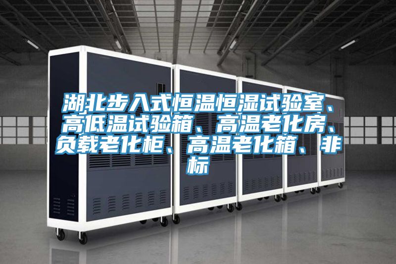 湖北步入式恒温恒湿试验室、高低温试验箱、高温老化房、负载老化柜、高温老化箱、非标