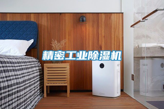 精密工业91香蕉视频下载网站