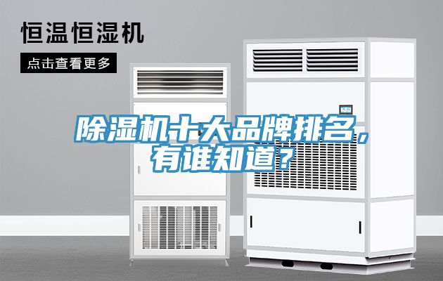 91香蕉视频下载网站十大品牌排名，有谁知道？
