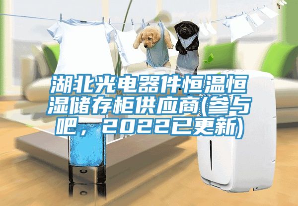湖北光电器件恒温恒湿储存柜供应商(参与吧，2022已更新)