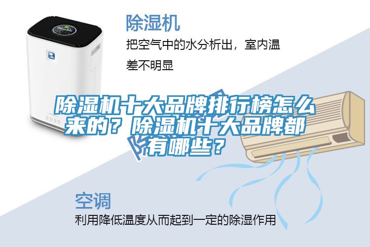 91香蕉视频下载网站十大品牌排行榜怎么来的？91香蕉视频下载网站十大品牌都有哪些？