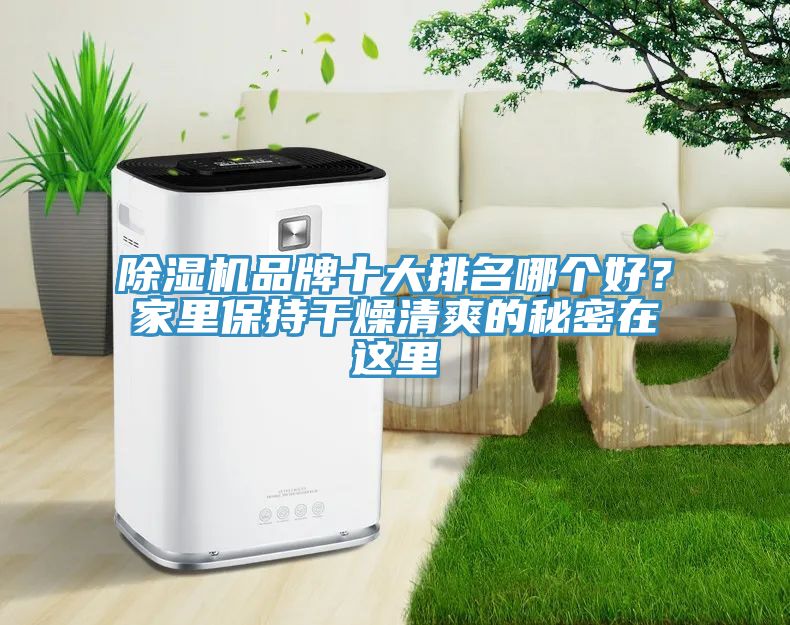 91香蕉视频下载网站品牌十大排名哪个好？家里保持干燥清爽的秘密在这里