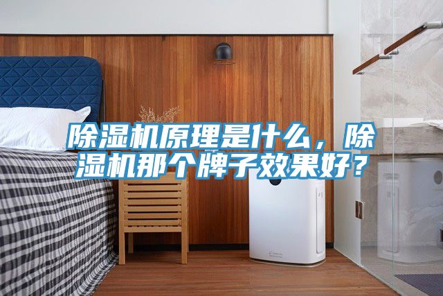 91香蕉视频下载网站原理是什么，91香蕉视频下载网站那个牌子效果好？