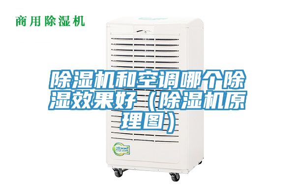 91香蕉视频下载网站和空调哪个除湿效果好（91香蕉视频下载网站原理图）