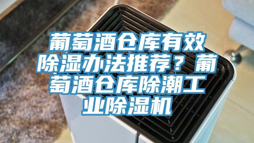 葡萄酒仓库有效除湿办法推荐？葡萄酒仓库除潮工业91香蕉视频下载网站